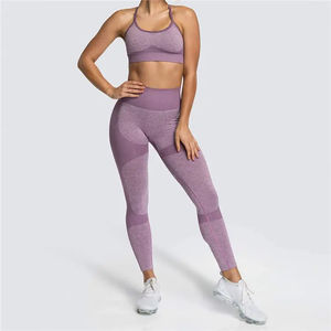 Women's <b>Seamless</b> Gym Fitness <b>Set</b> OEM Crop <b>Top</b> Sports Bra High Waist <b>Leggings</b> Yoga Pants Activewear for Women - Product Image 2