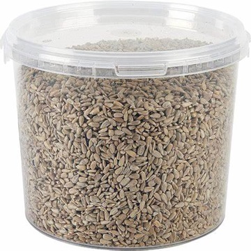 Wholesale of Dried Organic Barley Grains for Animal Feed at Affordable Prices