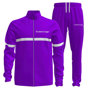 Conjunto Deportivo de Dos Piezas Unisex al por Mayor, Sudadera con Capucha y Pantalones Deportivos Lisos de Poliéster/Algodón, Chándal para Hombre, Invierno - Product Image 2