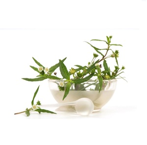 Aceite de Bhringraj al por mayor 100% aceite esencial orgánico puro para productos de cuidado del cabello proveedor a granel al mejor precio por exportadores indios - Product Image 3