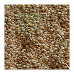 Semillas de sorgo amarillo de alta calidad, el mejor Material, tarifa al por mayor, nuevo producto caliente del fabricante - Product Image 1