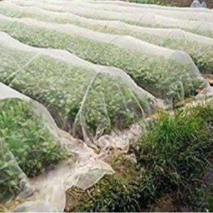 Agriculture Non Woven Fabric GSM 20-150 Oval Pattern Extra Wide for Crop Cover and Landscaping - Product Image 1