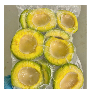 Aguacate congelado de Vietnam de primera calidad para postres batidos y pedidos al por mayor de procesamiento de alimentos - Product Image 6