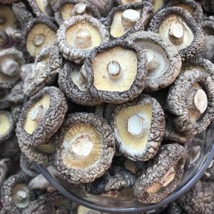 Hongos Shiitake secos nutritivos a granel/Seta Shiitake para cocinar-Sra. Shyn Tran - Product Image 2