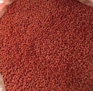 ผงเมล็ด Annatto สกัดแห้งชนิดแปรรูป - Product Image 3