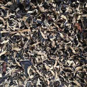 Seta Shiitake seca de alta calidad, seta negra seca de Vietnam, venta al por mayor, superventas de 2024 - Product Image 6