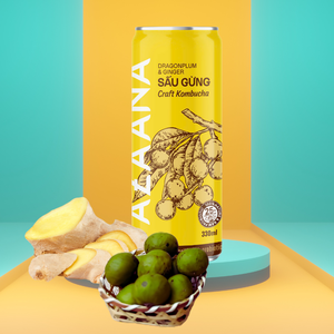 Le concentré de jus de Kombucha aux fruits et au gingembre vietnamiens offre une expérience de Kombucha rafraîchissante et riche en saveurs - Product Image 6