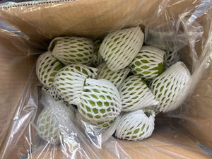 บรรจุภัณฑ์แบบกำหนดเองสำหรับฝรั่งสดจากเวียดนาม รสหวานธรรมชาติและอุดมด้วยวิตามิน สำหรับการผลิตภายใต้แบรนด์ส่วนตัว - Product Image 4