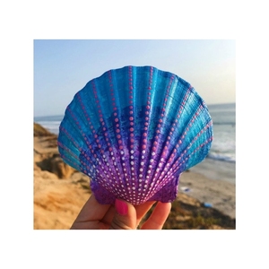 Conchas Marinas Artesanales Favoritas de los Clientes para la Elaboración de Coronas Náuticas y Decoración Ecológica para Arreglos Festivos Sostenibles - Product Image 5