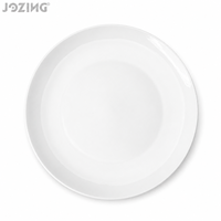Assiette creuse en céramique de 10 pouces, motif lune, en porcelaine blanche minimaliste, compatible micro-ondes, qualité supérieure
