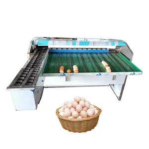 Máquina de clasificación de huevos Equipo de clasificación de huevos por peso 5400 Pcs/hr Máquina de clasificación