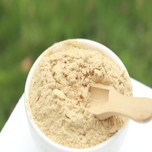 100% สุขภาพผง Amla ธรรมชาติในทุกๆช้อนปริมาณสุขภาพที่เต็มไปด้วยสารอาหารทุกวัน - Product Image 2