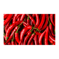 Piment rouge séché cru, très demandé, traité AD, 100% naturel pur, du Brésil, allongé, sain, en vrac 25kg