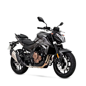 Prix de gros Nouveau 2025 Vogees 625R Nak/edds Motocyclettes avec garantie de 2 ans Prêt à être expédié dès maintenant - Product Image 5