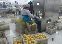 Goede Prijs Automatische Commerciële Meloen Peeling Machine Full Auto Industriële Meloenen Fruit Huid Dunschiller Machines Apparatuur Te Koop