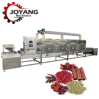 Stérilisateur Industriel Automatique Haute Efficacité pour Poudres d'Épices, Assaisonnements et Herbes
