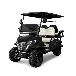 Vehículos Utilitarios Eléctricos Tipo Buggy para Campos de Golf, Granjas y Aeropuertos - Product Image 5