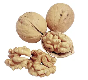 Raw organic bulk nuts white walnuts in shell