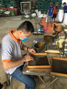 Traitement cru séché d'épices de l'exportateur vietnamien épicé de poivre noir chaud avec le processus de séchage AD 500 FAQ 500 MC Spécification - Product Image 3