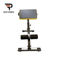 Chaise romaine professionnelle pour l'entraînement des muscles abdominaux et des dorsaux par hyperextension