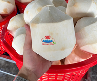 Kant-en-klare Vietnamese verse jonge kokosnoten, gesneden, gekoeld, Ben Tre, 60 dagen houdbaar, kokosvlees, sap, TECHMIFOOD fabrikant