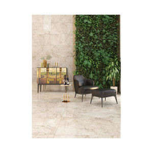 Azulejo de porcelana Balmoral Earth de diseño y color atractivo de estilo lujoso disponible a bajo precio - Product Image 1