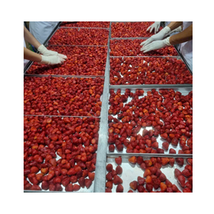 Copos de fresa liofilizados de alta calidad, material: bayas seleccionadas; uso: producción de postres; origen: proveedor de Vietnam - Product Image 1