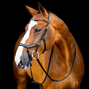 A freio de competição Joya Micklem é anatomicamente correta para garantir o melhor para o seu cavalo.