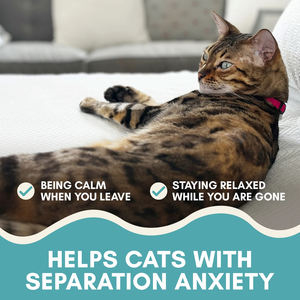 Nuovo arrivo all'ingrosso 3 in 1 confezione <span class=keywords><strong>cibo</strong></span> per <span class=keywords><strong>gatti</strong></span> bagnato leccabile Snack per <span class=keywords><strong>gatti</strong></span> cremosi dolcetti per <span class=keywords><strong>gatti</strong></span> Snack - Product Image 5