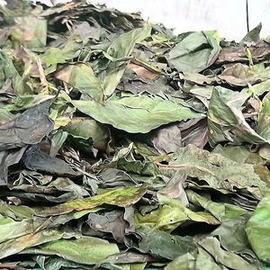 Feuilles de Noni séchées naturelles, ingrédient pour la fabrication de thé, les boissons et les mélanges à base de plantes - Product Image 1