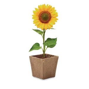 Ecological Sunflower Cultivation Kit Green <b>Gift</b> <b>Set</b> for <b>Garden</b> Lovers - Product Image 5