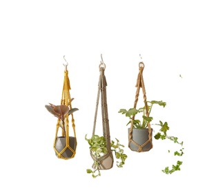 Imple ope lanter-colgador de plantas, todos los modelos - Product Image 1