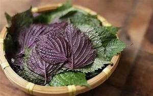 ผงใบ Perilla พร้อมฉลากที่สะอาดส่วนผสมที่ไม่ใช่จีเอ็มโอสำหรับชามังสวิรัติ - Product Image 2