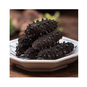 Pepinos de Mar Secos de Primera Calidad, Color Negro Puro con Manchas Blancas, en Paquete a Granel a Precio de Mayoreo Económico - Product Image 6