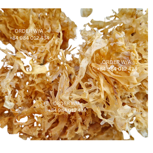 High Quality Wildcrafted Eucheuma Cottonii From Vietnam <b>Ready</b> <b>to</b> Ship! - Product Image 6