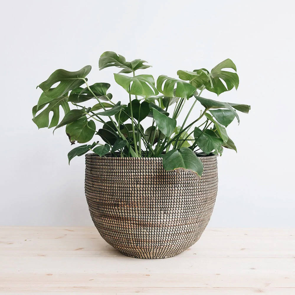 ธรรมชาติ