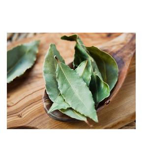 ซื้อใบกระวานสำหรับลดราคาสินค้าคุณภาพสูงสดและมีกลิ่นหอมสำหรับการสั่งซื้อจำนวนมากพร้อมจัดส่ง - Product Image 1