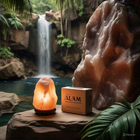 Lampe de sel de l'Himalaya écologique personnalisée de 1-2 kg, faite à la main, motifs animaux, croix, fleurs, lettres religieuses, Feng Shui – Meilleures ventes