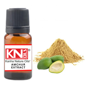 Kanha Nature Oils Extrait organique d'AMCHUR Huile essentielle pure de racine de qualité supérieure Prix de gros direct du fabricant OEM - Product Image 1
