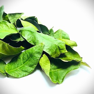 Guanábana deshidratada de Sri Lanka, hojas cortadas en T, hierba seca para productos médicos para bodas - Product Image 1