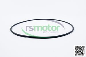 Original/OEM O-Seal para MWM Nuevas piezas de motor de gas natural para motor de maquinaria - Product Image 2