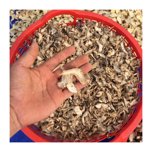 Gingembre Offre Spéciale déshydraté du Vietnam-Tranche de gingembre séché naturel pour l'alimentation et les boissons-Gingembre séché de haute qualité par 99G - Product Image 2