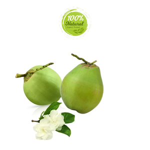 ผลิตภัณฑ์ทางการเกษตรธรรมชาติชุ่มชื้นมะพร้าวสดจากเวียดนาม - Product Image 5