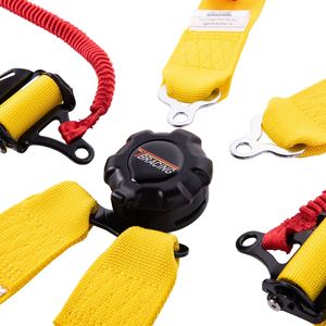 Harnais FIA8853-2016 pour la course automobile - Product Image 4