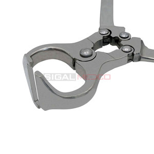 Pinzas Burdizzo para Castración sin Sangre, Juego de Instrumentos Quirúrgicos Veterinarios Reutilizables de Acero Inoxidable Alemán para Operaciones de Mascotas - Product Image 3