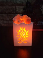 Lampe au sel Radiance supérieure moderne et tranquille Prix d'usine abordable Meilleur exportateur et grossiste de sel rose de l'Himalaya