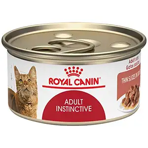 Royal Canin Feline Health Nutrition Rebanadas finas instintivas para adultos en salsa Comida enlatada para gatos, 3 onzas (paquete de 24)