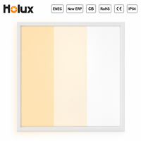 Plafonnier LED Holux moderne en aluminium IP54 22W-60W 150lm/W UGR<19 ENEC CE CB RoHS IES LDT Dimmable pour bureau