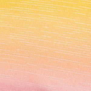 Ensembles de yoga 2 pièces sans couture grande taille pour femmes avec ceinture respirant à séchage rapide Gym Fitness Wear Option de logo personnalisé - Product Image 6