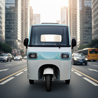 Triciclo Elettrico Domestico Compatto per Signore, Completamente Chiuso con Tettuccio, Veicolo per Anziani e Adulti per Tempo Libero e Trasporto